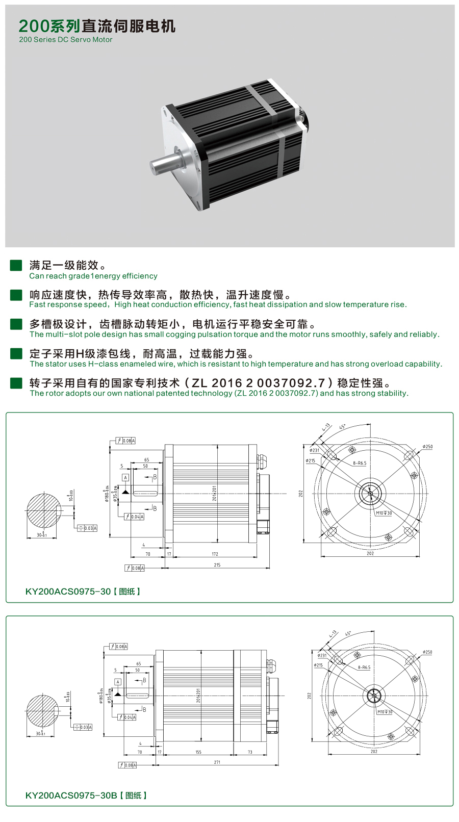 200系列0975-30伺服電機.jpg